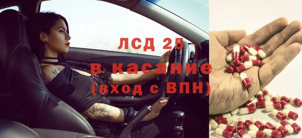 шишки Балабаново